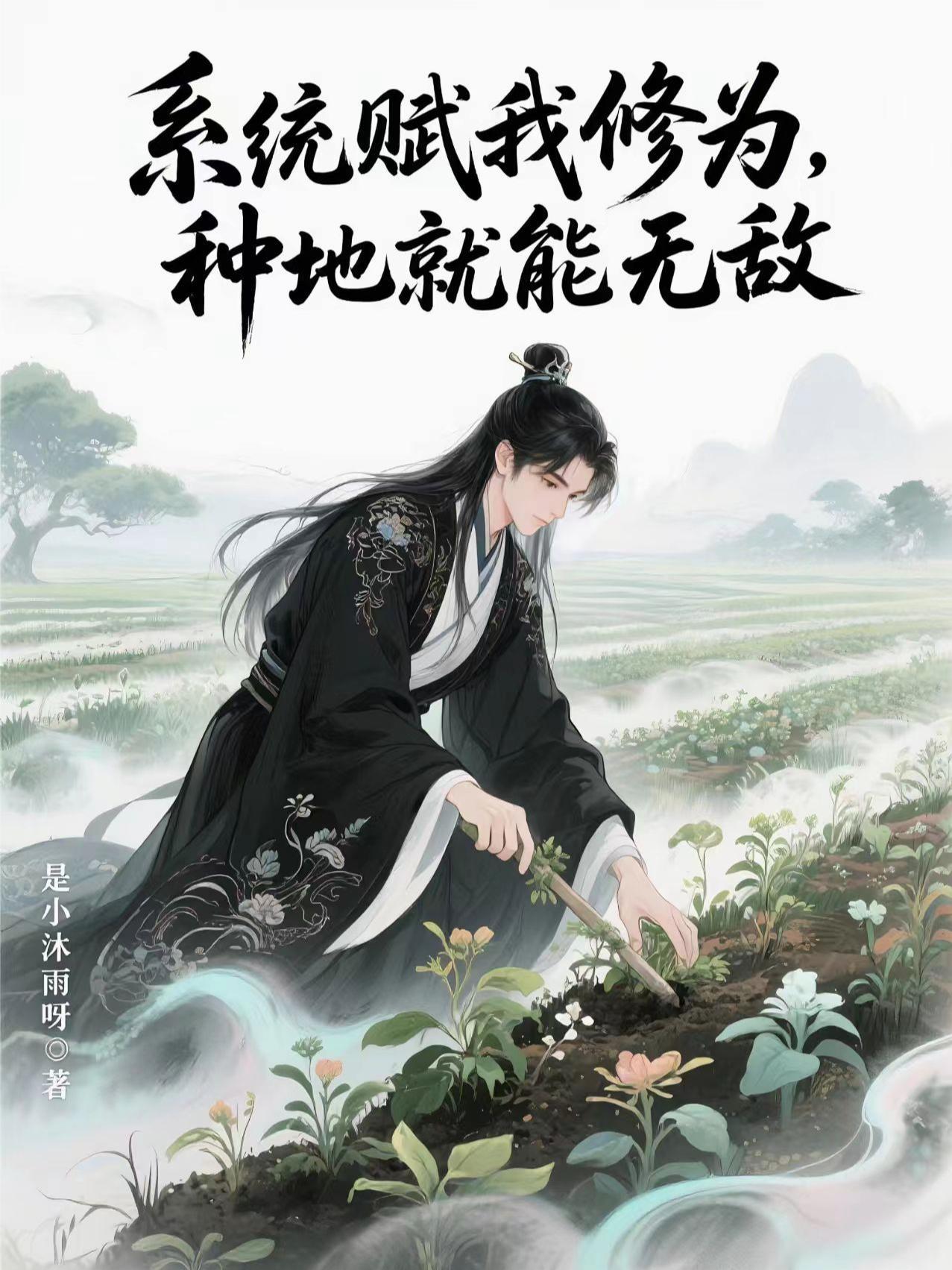 系统赋予的领域