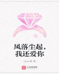 风落尘什么意思