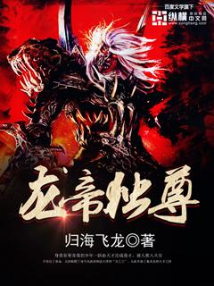 龙帝天尊免费阅读