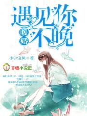 暖婚免费阅读