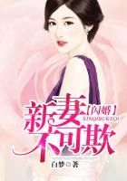 新妻不可欺