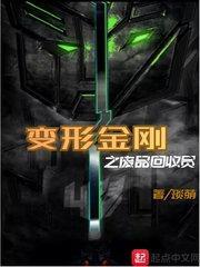 变形金刚废渣玩具