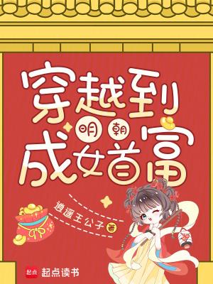 穿越明朝做女婿免费阅读