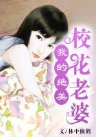 我的绝美校花老婆女主