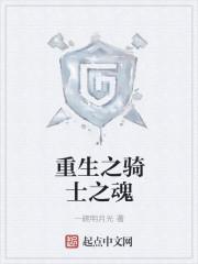 重生之骑士荣耀