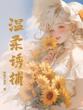 温柔诱捕txt宝书