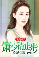 萧少盛宠亿万小妻