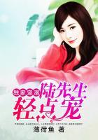 陆先生的独家甜婚无弹窗