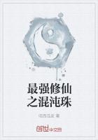 最强的混沌至宝