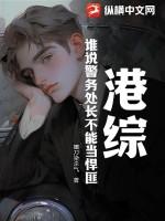 警务处长相当于内地的什么职务