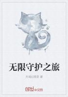 无限守护灵系统