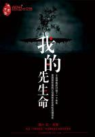 我的先生在哪里