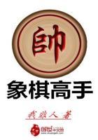 象棋高手对弈