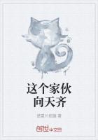 这个家伙无罪一至三章攻略