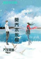 乔木依稀官方网站