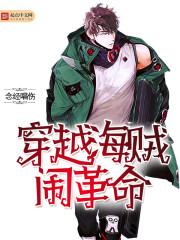 穿越海贼王之革命军副首领