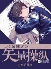 海贼之矢量操作免费阅读