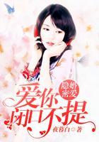 隐婚蜜爱爱你闭口不提