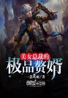 美女总裁的赘婿免费阅读