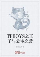 王子与公主的恋爱故事