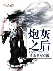 炮灰之后美娱讲什么