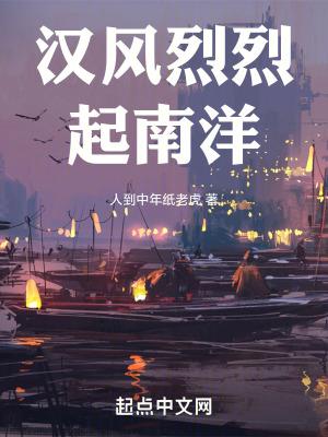 汉风烈烈起南洋免费