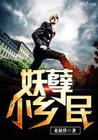 妖孽小乡医免费完整版