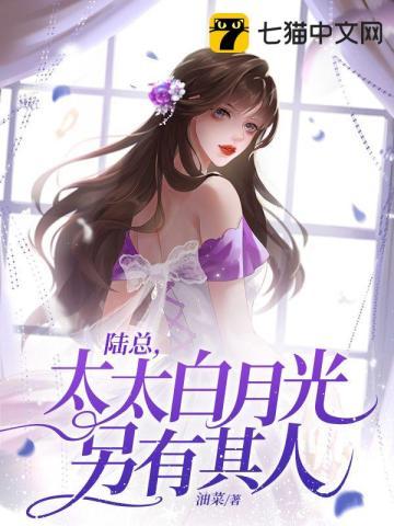 免费阅读陆太太又在闹离婚