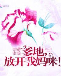 宠婚蜜爱爹地放开妈咪