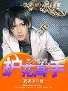 大小姐的护花神医