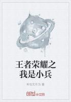 王者荣耀之我是小兵最新