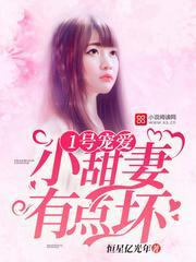 1号宠爱小甜妻有点坏全本免费阅读