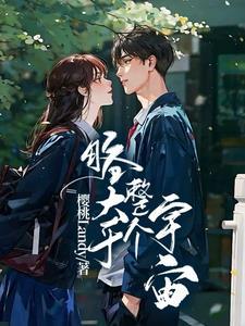 略大于整个宇宙免费观看