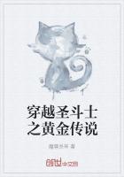 穿越黄金圣斗士