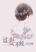 过妻不候宝贝儿咱不离婚