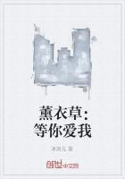 台剧薰衣草主题曲