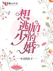 想逃少帅的婚姻是什么