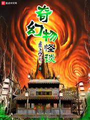 奇幻怪盗百度百科