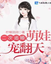 二次追婚