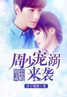 婚情密爱周少宠妻无度