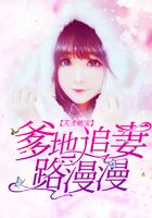 天才萌宝爹地追妻忙