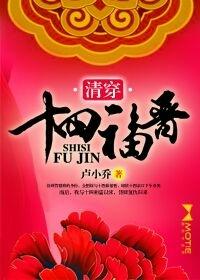 清穿十四福晋大力王