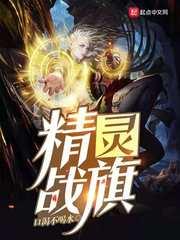 精灵战旗破解版