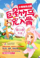 宠入骨作者蔡小困