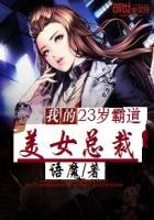 我的23岁美女总裁 品书网