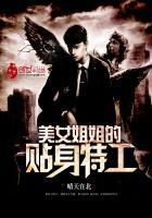 美女姐姐的贴身特工在线观看