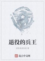 退役的兵王仕途路