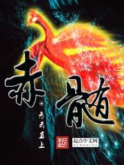 赤髓聚核伽楠沉香