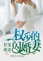 宠妻狂魔权少的专属甜心