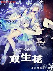 斗罗大陆之双生子